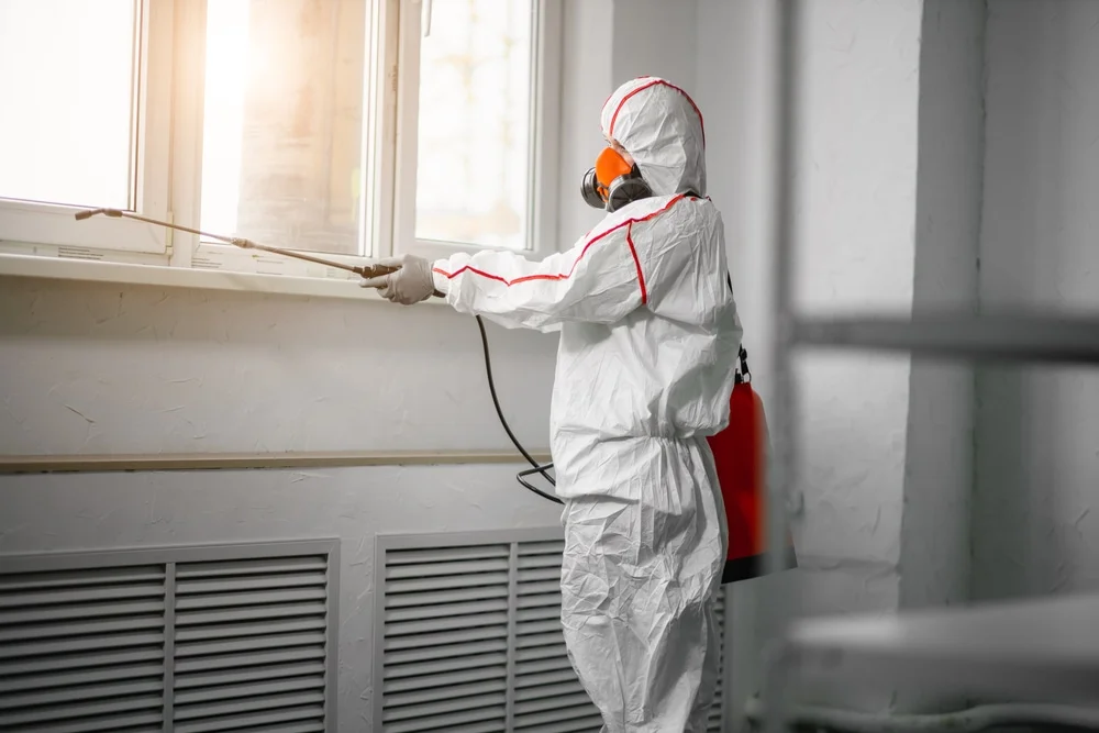 Professional mold remediation services in Hobson, TX